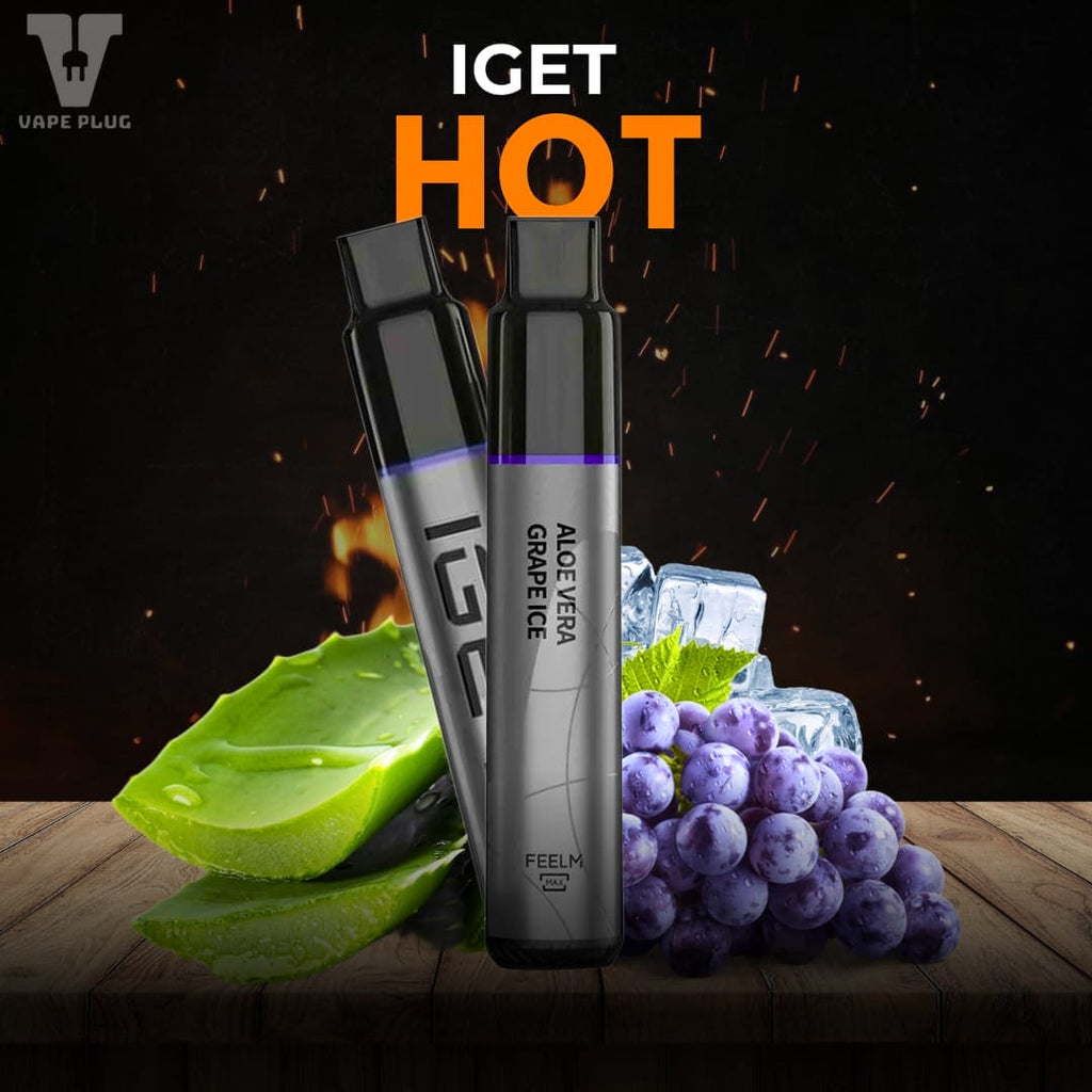 ALOE VERA GRAPE ICE - IGET HOT 5500