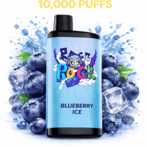 BLUEBERRY ICE - IGET BAR PRO 10,000