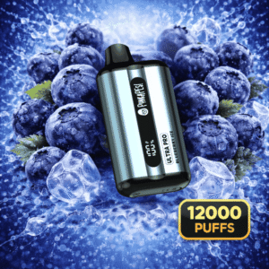 BLUEBERRY ICE - PUNKAPES ULTRA PRO 12,000