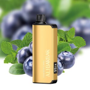 BLUEBERRY MINT (NEW FLAVOUR!) - ALIBARBAR INGOT 9000