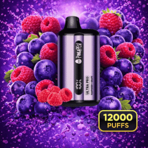 BLUEBERRY RASPBERRY - PUNKAPES ULTRA PRO 12,000